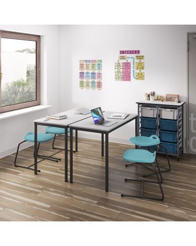 Dynami Sled Base Student Chair - Low Back  