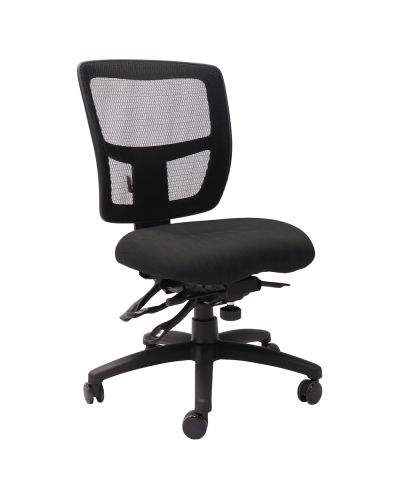 Promesh Ergo Heavy Duty Chair