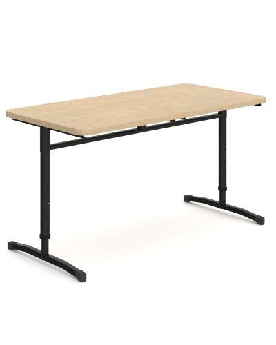 Raw Birch Ply | 1200w x 600d 