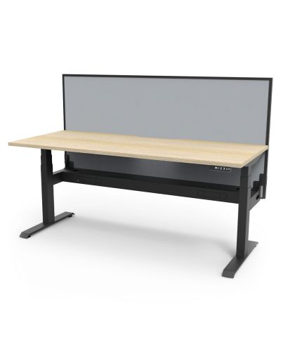 Ascendo Plus Single Sided Electronic Sit Stand Desk with Screen