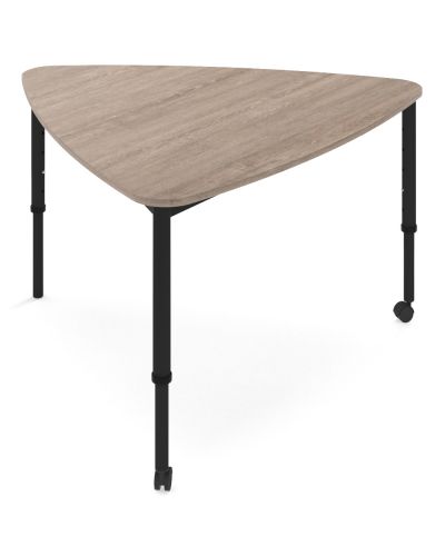 General Purpose Plectrum Table - Adjustable Height