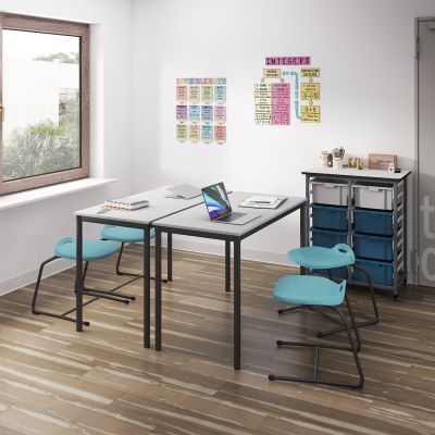 Dynami Sled Base Student Chair - Low Back  