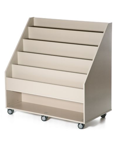 Piggyback Mobile Display