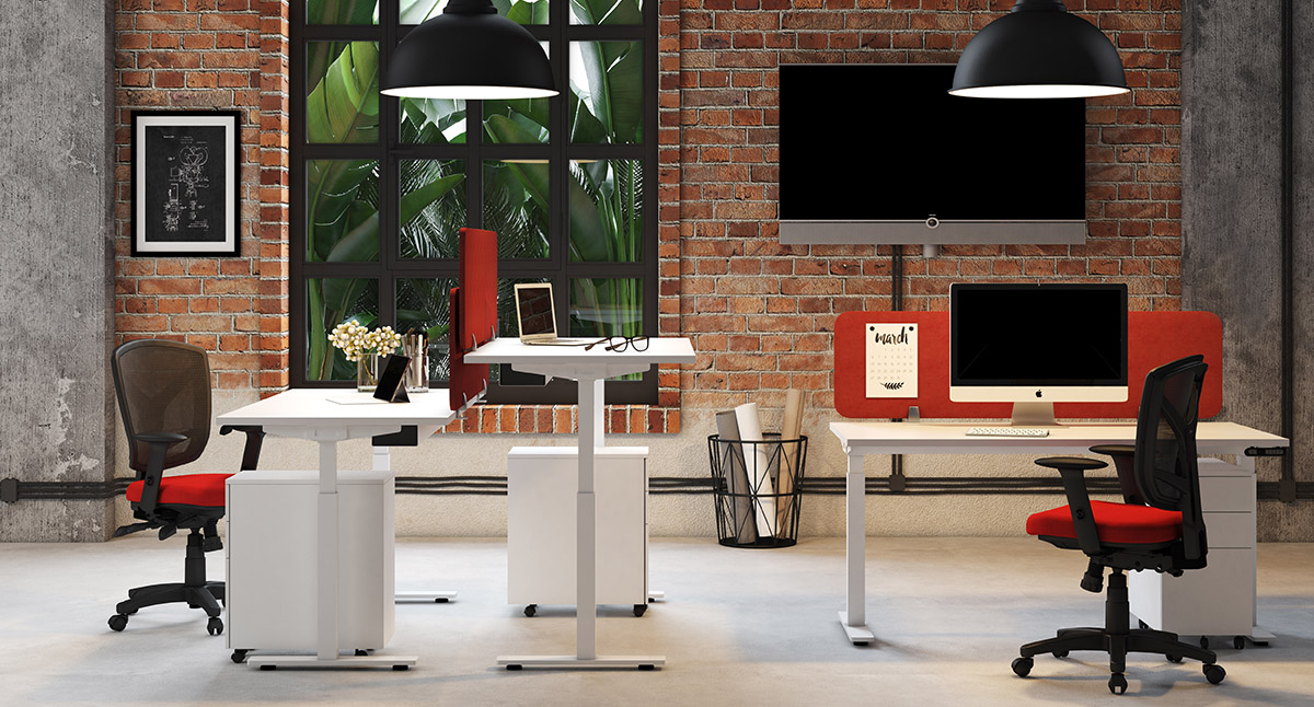 Sit Stand Desk