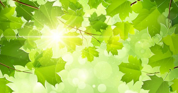 4 Great Tips for A Green Office
