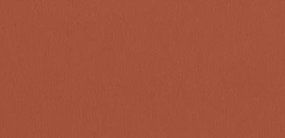 Allure Tandoori Vinyl