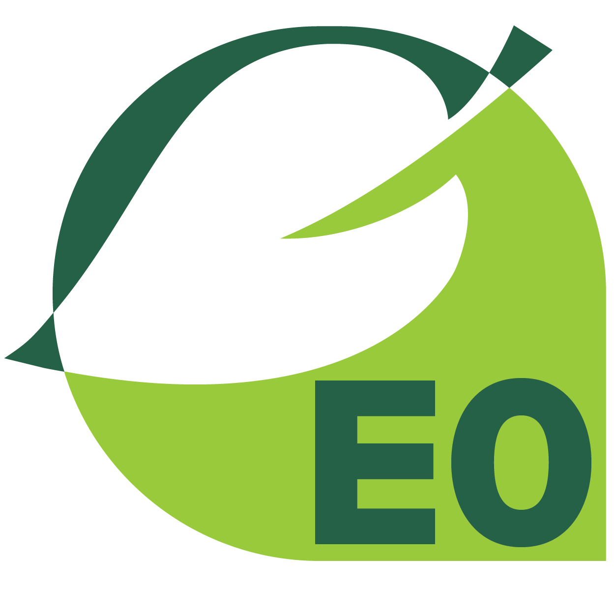 E0 logo