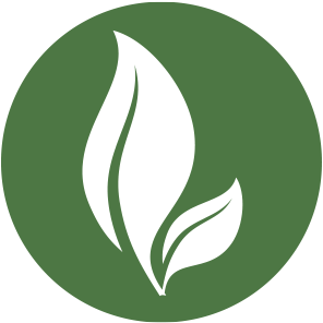 Creating Powerful and Engaging Learning Environments | BFX Furniture