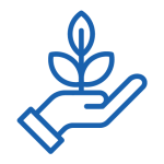 Sustainability 1