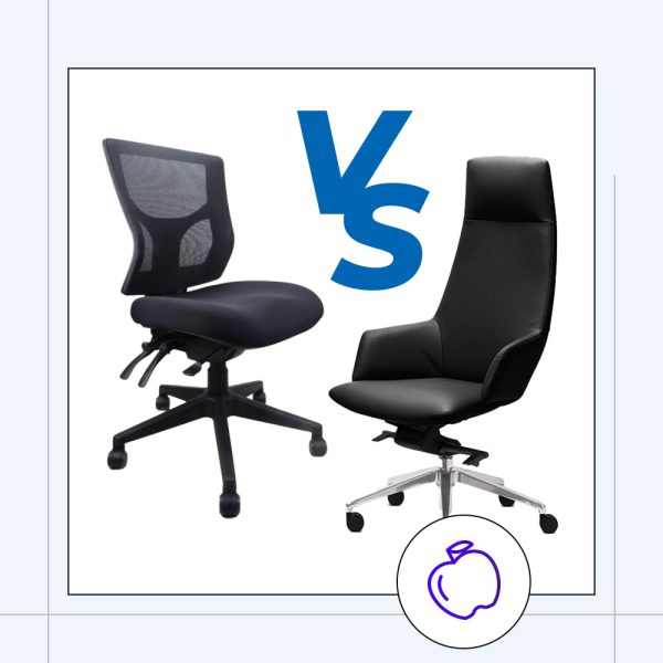 ergonomic office chairs vs executive chairs